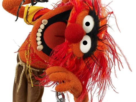 Animal (Muppet) Photos and Premium High Res Pictures .